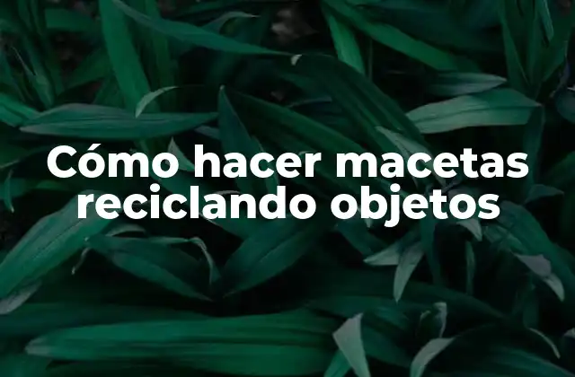 Cómo Hacer Macetas Reciclando Objetos