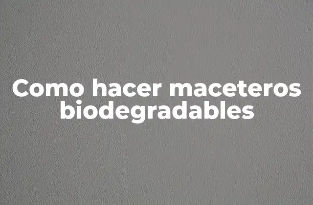 Como Hacer Maceteros Biodegradables