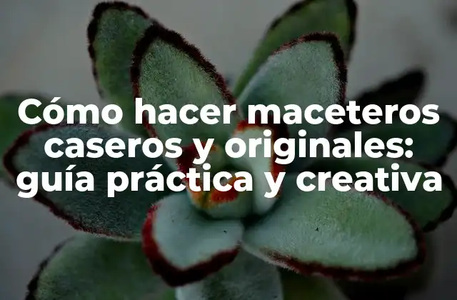 Cómo Hacer Maceteros Caseros y Originales: Guía Práctica y Creativa