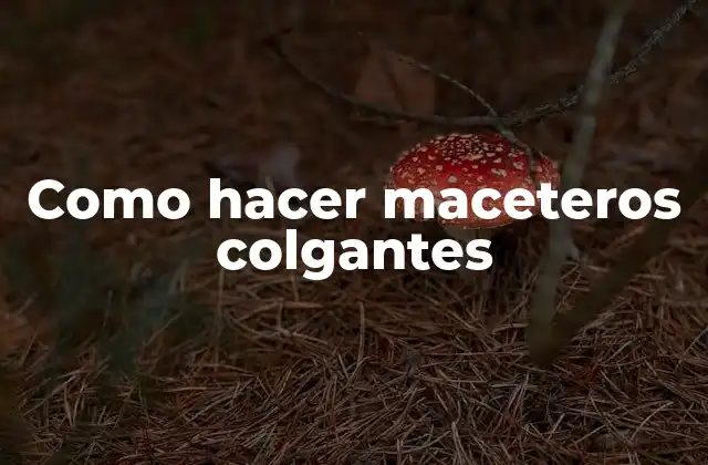 Como Hacer Maceteros Colgantes