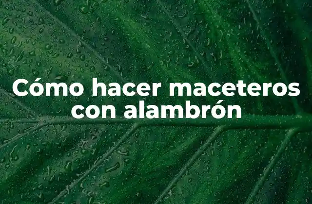 Cómo Hacer Maceteros con Alambrón