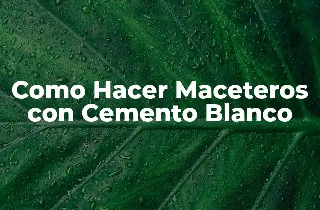 Como Hacer Maceteros con Cemento Blanco