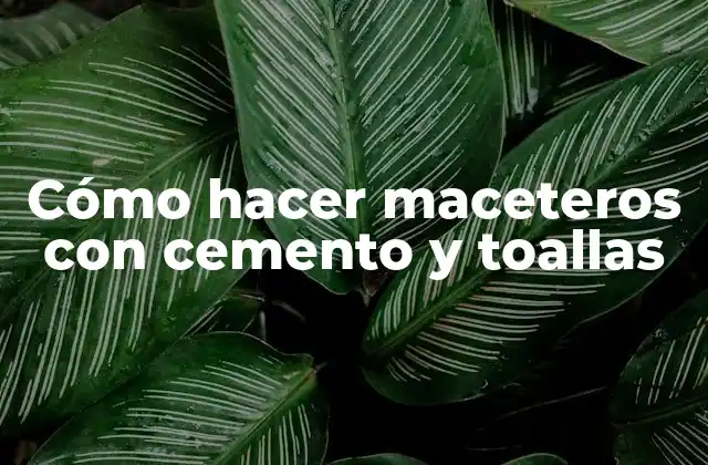Cómo Hacer Maceteros con Cemento y Toallas