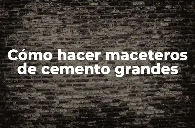 Cómo Hacer Maceteros de Cemento Grandes