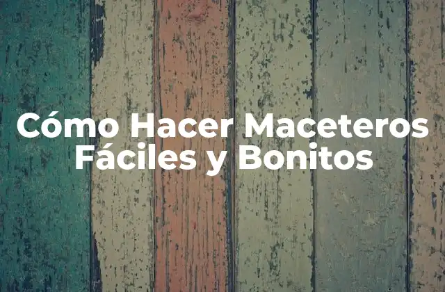 Cómo Hacer Maceteros Fáciles y Bonitos