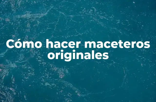 ¿Qué es un macetero original y para qué sirve?