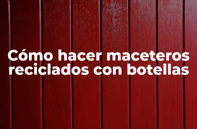 Cómo Hacer Maceteros Reciclados con Botellas