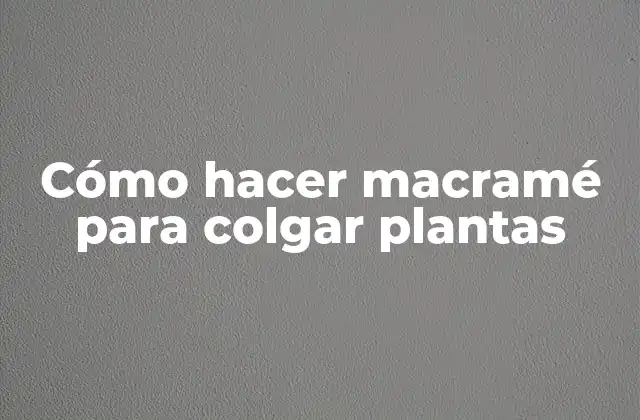 Cómo Hacer Macramé para Colgar Plantas