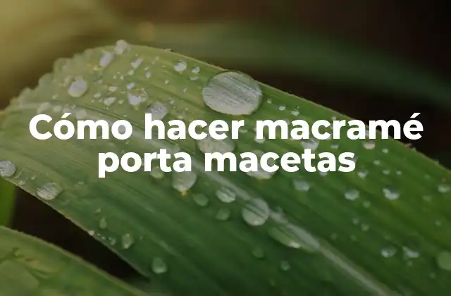 Cómo Hacer Macramé Porta Macetas