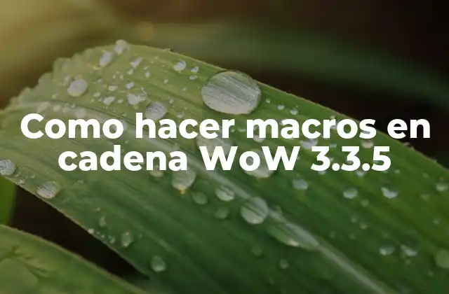 Como Hacer Macros en Cadena Wow 3.3.5