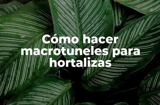 Cómo Hacer Macrotuneles para Hortalizas