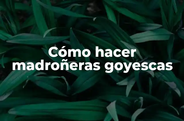 Cómo Hacer Madroñeras Goyescas