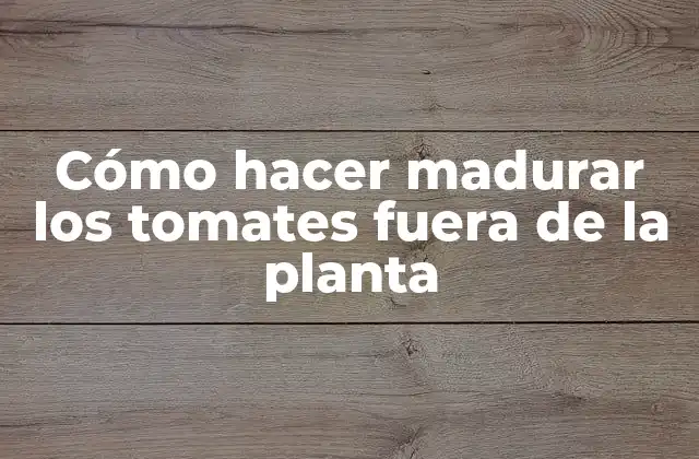 Cómo Hacer Madurar los Tomates Fuera de la Planta 2 Cómo hacer madurar los tomates fuera de la planta