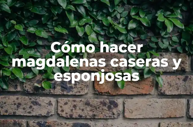 Cómo Hacer Magdalenas Caseras y Esponjosas