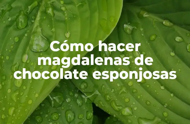 Cómo Hacer Magdalenas de Chocolate Esponjosas