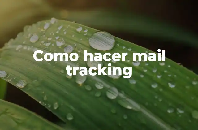 Como Hacer Mail Tracking