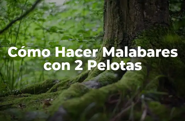 Cómo Hacer Malabares con 2 Pelotas