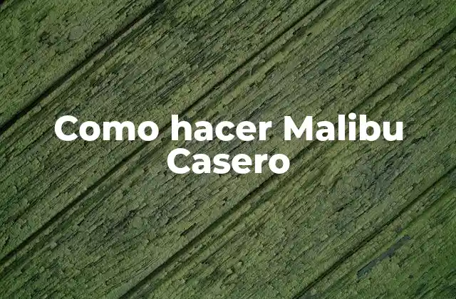 ¿Qué es el Malibu Casero?