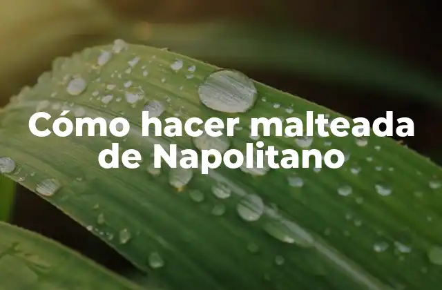 Cómo Hacer Malteada de Napolitano