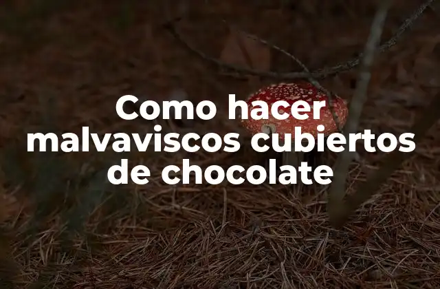 Como Hacer Malvaviscos Cubiertos de Chocolate