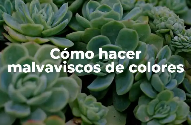 Cómo Hacer Malvaviscos de Colores