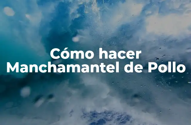 Cómo Hacer Manchamantel de Pollo