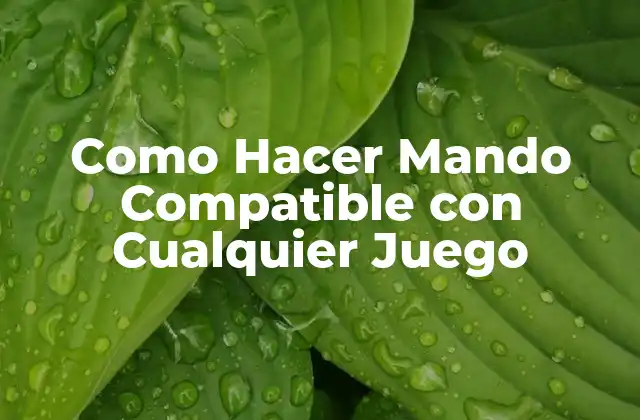 Como Hacer Mando Compatible con Cualquier Juego 2 ¿Qué es un Mando Compatible con Cualquier Juego?
