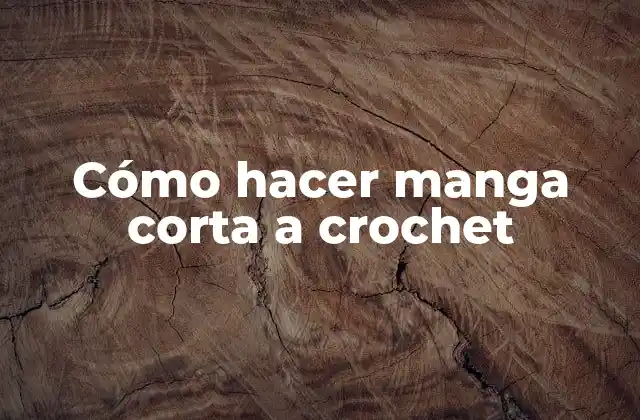 Cómo Hacer Manga Corta a Crochet