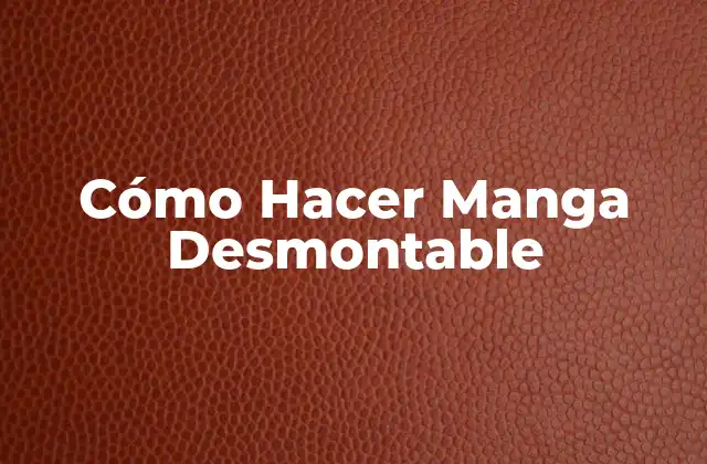 ¿Qué es una Manga Desmontable?