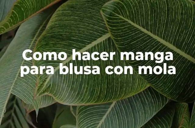 Como Hacer Manga para Blusa con Mola