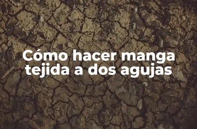 Cómo Hacer Manga Tejida a Dos Agujas