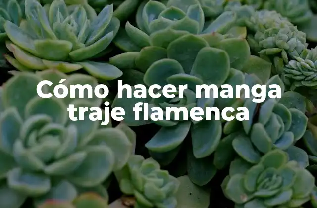 Cómo Hacer Manga Traje Flamenca