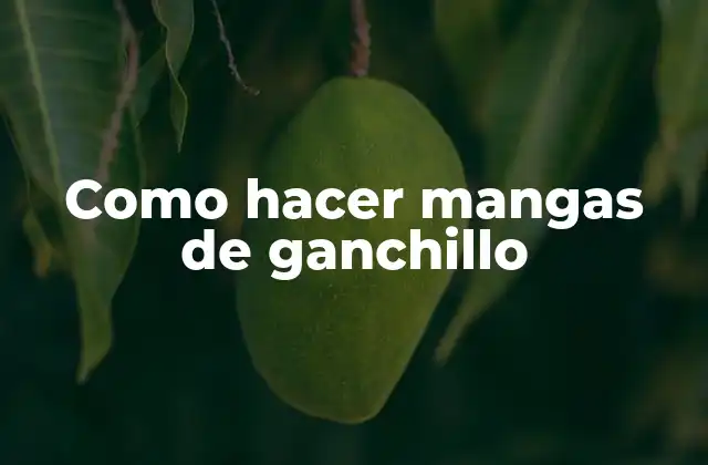 Como Hacer Mangas de Ganchillo 2 ¿Qué son las mangas de ganchillo?