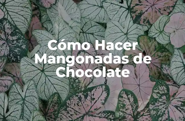 ¿Qué son las Mangonadas de Chocolate y para Qué Sirven?