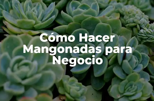 Cómo Hacer Mangonadas para Negocio
