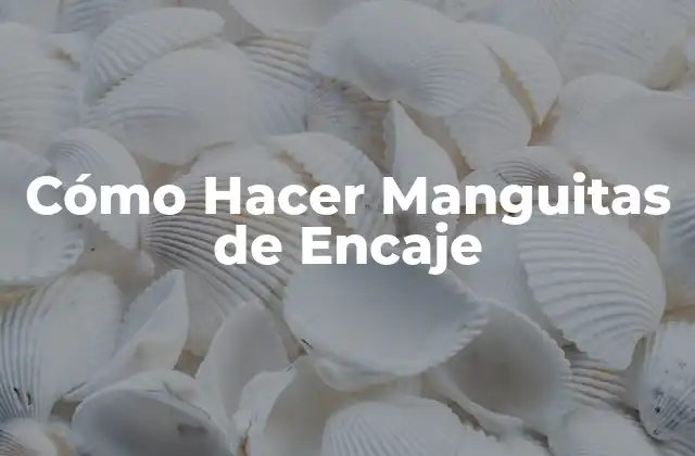 Cómo Hacer Manguitas de Encaje 2 ¿Qué son las Manguitas de Encaje?