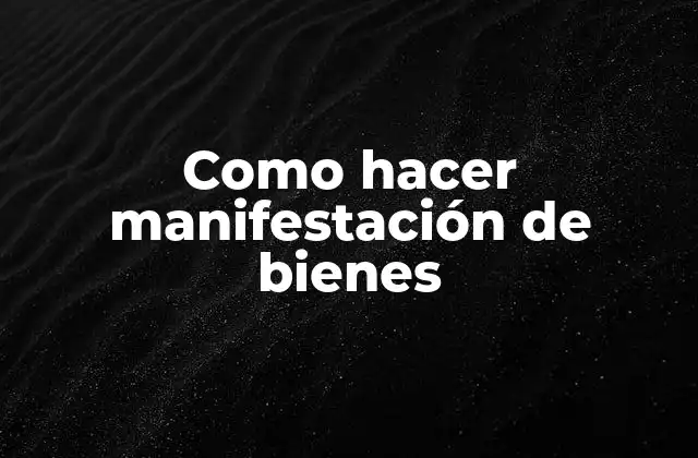 Como Hacer Manifestación de Bienes