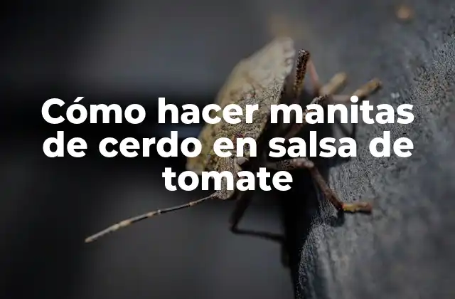 Cómo Hacer Manitas de Cerdo en Salsa de Tomate
