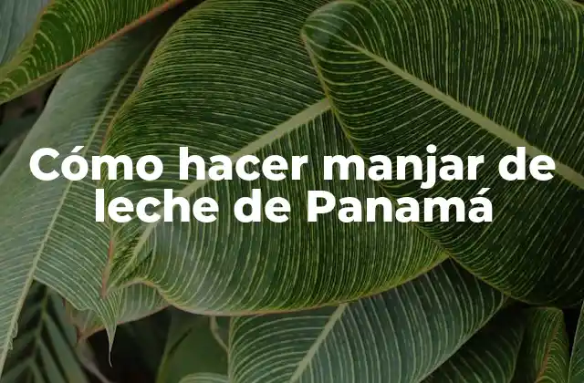 ¿Qué es el manjar de leche de Panamá?