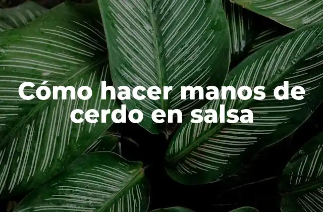 ¿Qué son manos de cerdo en salsa?