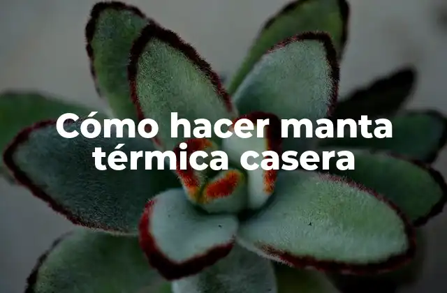 Cómo Hacer Manta Térmica Casera 2 Cómo hacer manta térmica casera