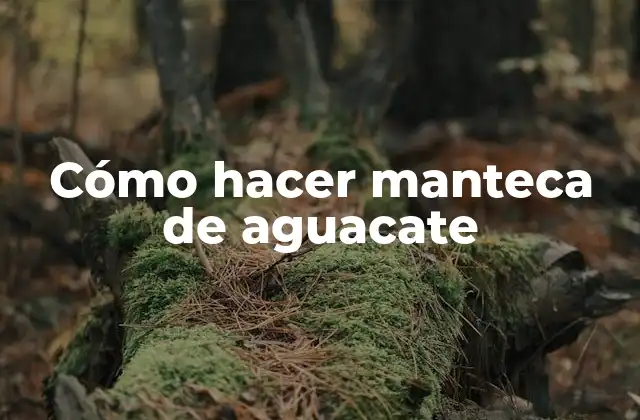 Cómo Hacer Manteca de Aguacate