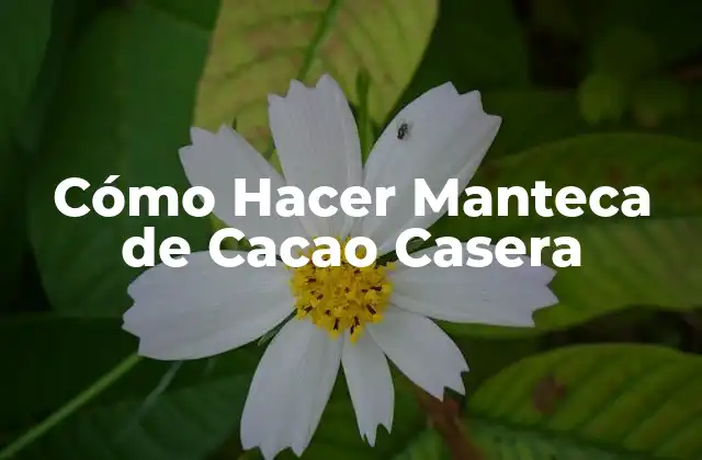 Cómo Hacer Manteca de Cacao Casera