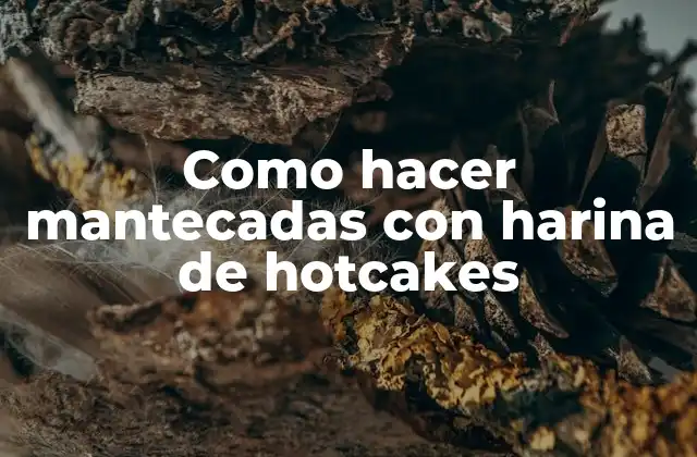 Como Hacer Mantecadas con Harina de Hotcakes