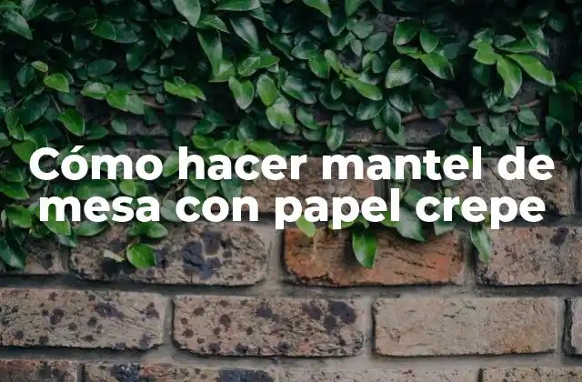 Cómo Hacer Mantel de Mesa con Papel Crepe
