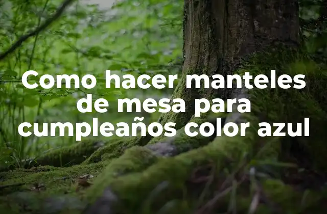 Como Hacer Manteles de Mesa para Cumpleaños Color Azul