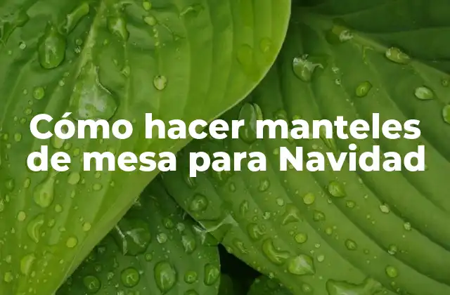 Cómo Hacer Manteles de Mesa para Navidad