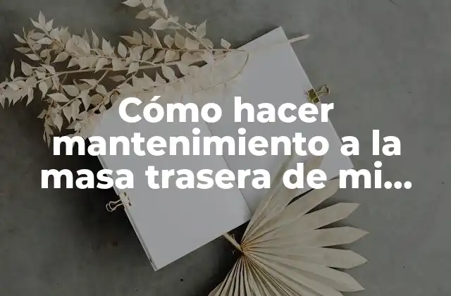 Cómo Hacer Mantenimiento a la Masa Trasera de Mi Rueda