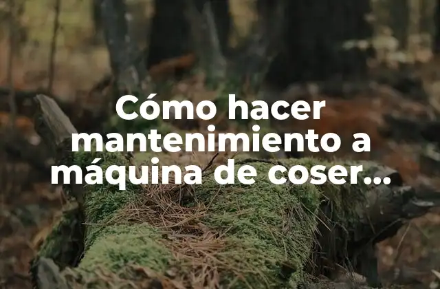 Cómo Hacer Mantenimiento a Máquina de Coser Brother