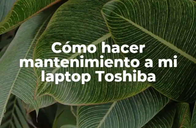 Cómo Hacer Mantenimiento a Mi Laptop Toshiba